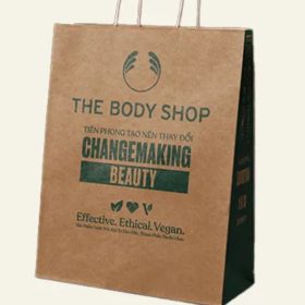 Dịch vụ thiết kế và in túi giấy mọi số lượng, giá rẻ tại In Hộp Giấy DZ