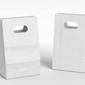 Dịch vụ thiết kế và in túi giấy mọi số lượng, giá rẻ tại In Hộp Giấy DZ