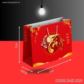 Dịch vụ thiết kế và in túi giấy mọi số lượng giá rẻ tại In Hộp Giấy DZ