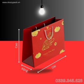Xưởng in túi đựng quà Tết đẹp, ấn tượng, giao nhanh TP. HCM