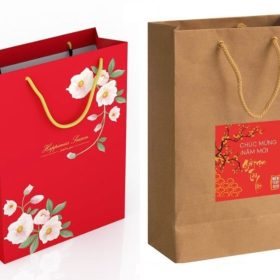 Xưởng in túi đựng quà Tết đẹp, ấn tượng, giao nhanh TP. HCM