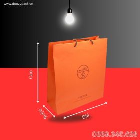 Xưởng in túi giấy đựng quà tặng cao cấp, giá rẻ, mọi số lượng