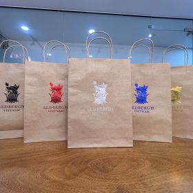 túi giấy kraft nâu nên in logo màu gì