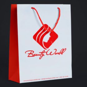 Túi giấy in logo theo yêu cầu