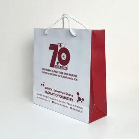 Xưởng in túi giấy giá rẻ In Hộp Giấy DZ tại TP. HCM