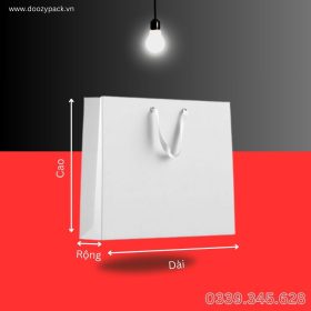 Xưởng sản xuất túi giấy trơn theo yêu cầu, mọi số lượng, giá rẻ tại HCM