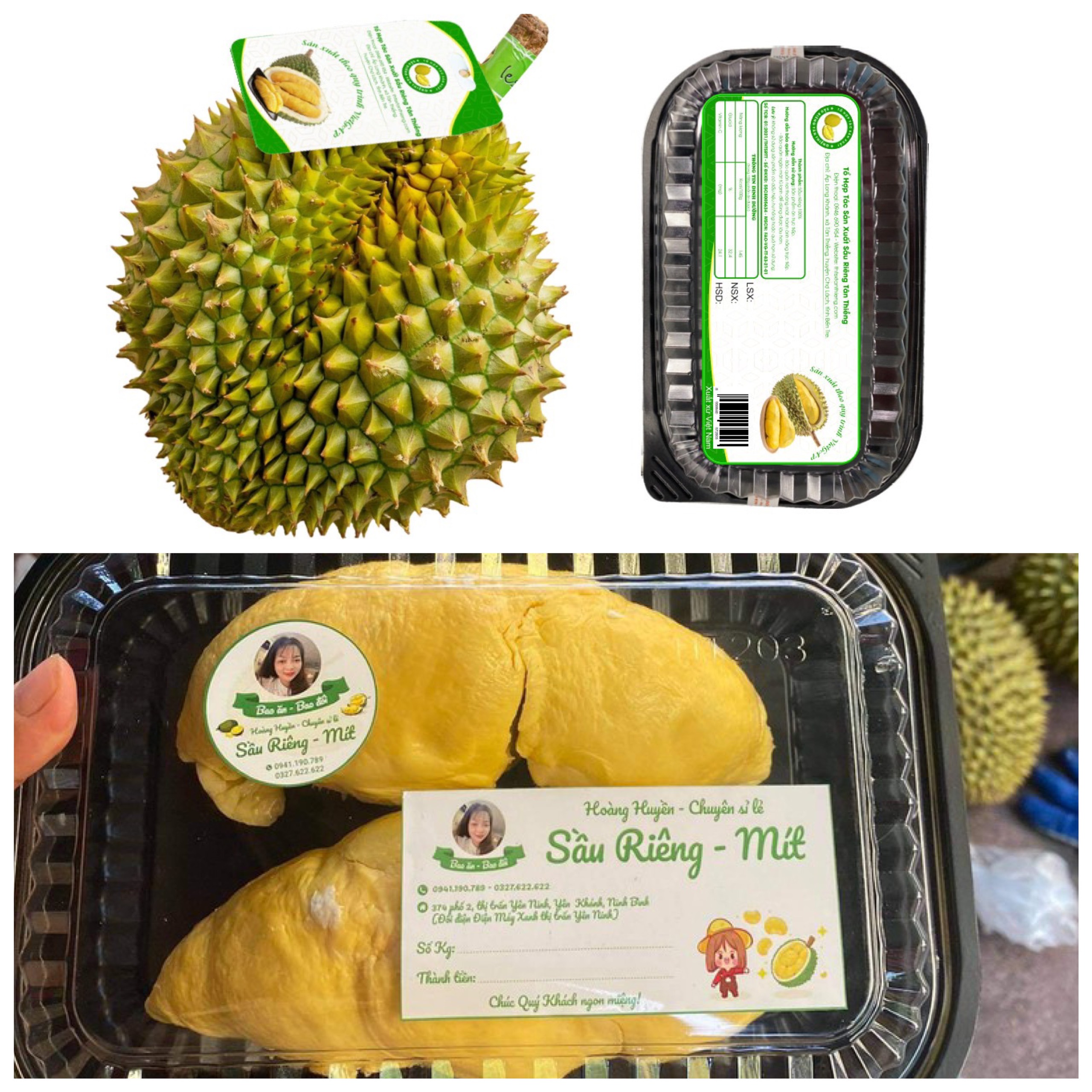 tem dán hộp sầu riêng