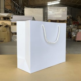 Xưởng in túi giấy cứng in logo theo yêu cầu, giá tốt, giao hàng nhanh tại HCM