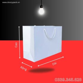 Xưởng in túi giấy cứng in logo theo yêu cầu, giá tốt, giao hàng nhanh tại HCM