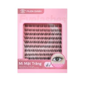 Mẫu hộp giấy đựng mi