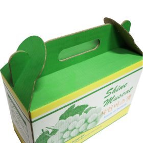 Mẫu hộp quai xách