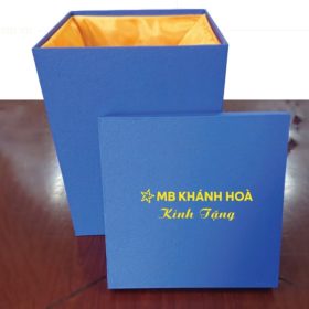 Mẫu hộp xi lót lụa