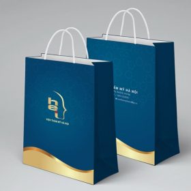 Mẫu túi giấy cỡ lớn