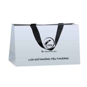 Mẫu túi giấy duplex