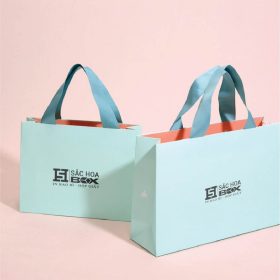 Mẫu túi giấy duplex